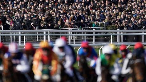 cheltenham favourites today|Cheltenham favourites today: Latest odds and ante.